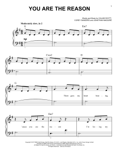 You Are The Reason von Calum Scott (Download) 