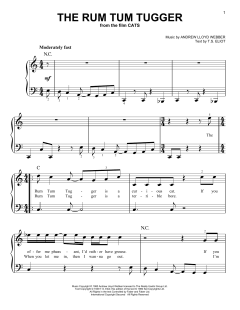 The Rum Tum Tugger von Jason Derulo (Download) 