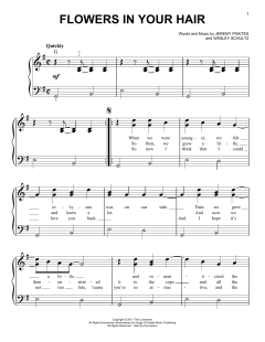 Flowers In Your Hair von The Lumineers (Download) 