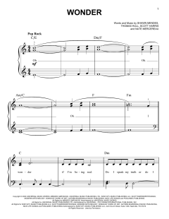 Wonder von Shawn Mendes (Download) 