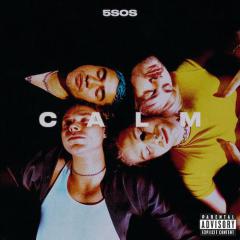 Easier von 5 Seconds of Summer (Download) 