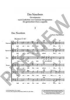 Das Nasobem von Franz Tischhauser 