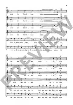 Das Nasobem von Franz Tischhauser 