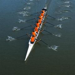 Rowing von P. Guglielmo (Download) 
