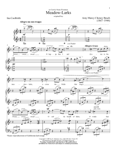 Meadow-Larks von Ina Coolbrith (Download) 
