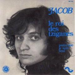 Parce Que Je Suis Seul von Jacob (Download) 