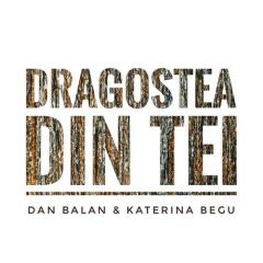 Dragostea Din Tei (Download) 