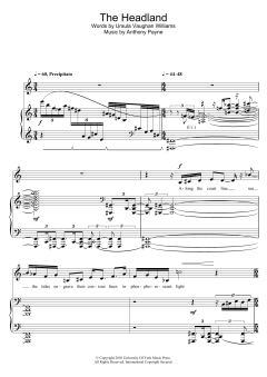 The Headland von Anthony Payne (Download) 