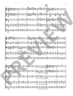 Ragtimes for String Ensemble von Leslie Searle 