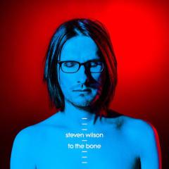 Permanating von Steven Wilson (Download) 