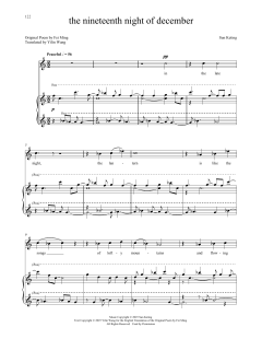 The Nineteenth Night of December von Michael Csányi-Wills (Download) 