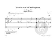 choralvorspiel XIX von Philipp Maintz (Download) 
