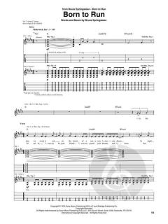 The Bruce Springsteen Guitar Collection 