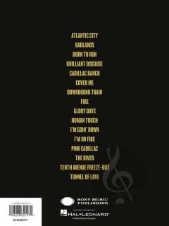 The Bruce Springsteen Guitar Collection 