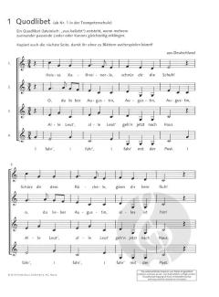 Die fröhliche Trompete Spielbuch 2 von Michael Werner im Alle Noten Shop kaufen