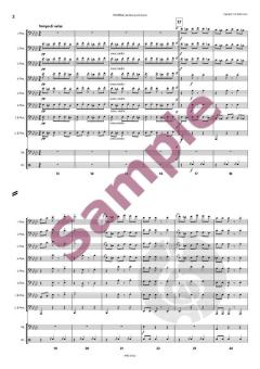 Glücklich ist, wer vergisst von Johann Strauss (Sohn) 