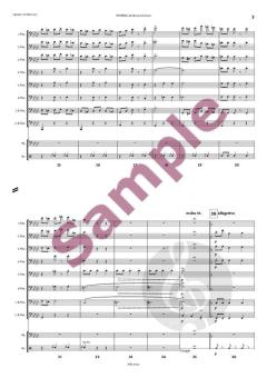 Glücklich ist, wer vergisst von Johann Strauss (Sohn) 