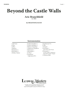 Beyond the Castle Walls von Aric Branchfield (Download) 