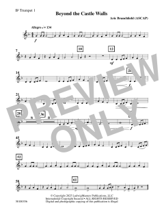 Beyond the Castle Walls von Aric Branchfield (Download) 