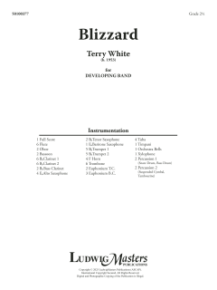 Blizzard von Terry White (Download) 