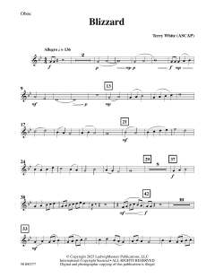 Blizzard von Terry White (Download) 