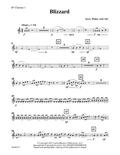 Blizzard von Terry White (Download) 