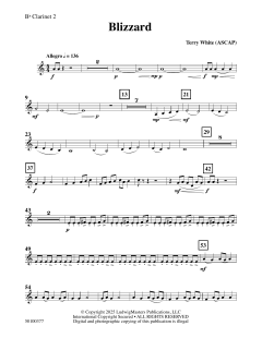 Blizzard von Terry White (Download) 