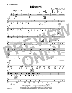 Blizzard von Terry White (Download) 