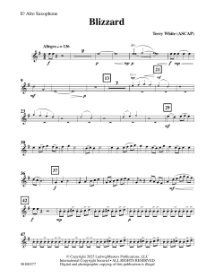 Blizzard von Terry White (Download) 