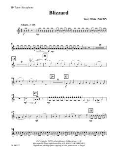 Blizzard von Terry White (Download) 