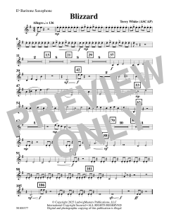 Blizzard von Terry White (Download) 