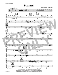 Blizzard von Terry White (Download) 