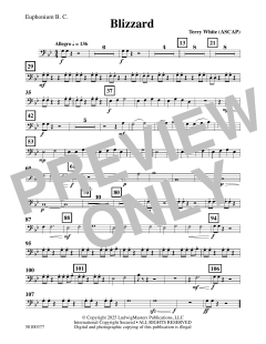 Blizzard von Terry White (Download) 