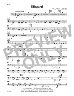 Blizzard von Terry White (Download) 