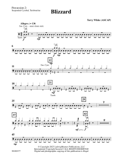 Blizzard von Terry White (Download) 