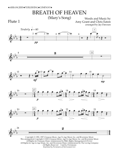 Breath of Heaven (Mary's Song) von Amy Grant (Download) 