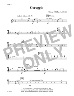 Coraggio von Quincy C. Hilliard (Download) 