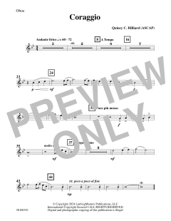 Coraggio von Quincy C. Hilliard (Download) 