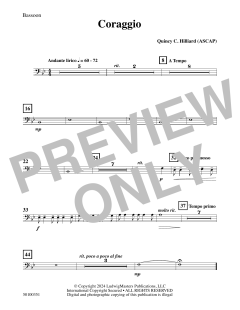 Coraggio von Quincy C. Hilliard (Download) 