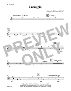 Coraggio von Quincy C. Hilliard (Download) 