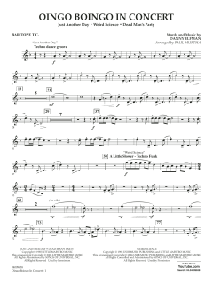 Oingo Boingo In Concert von Danny Elfman (Download) 