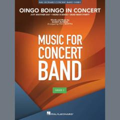Oingo Boingo In Concert von Danny Elfman (Download) 