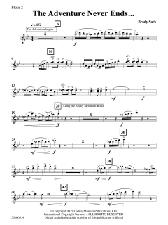 The Adventure Never Ends von Brady Sark (Download) 