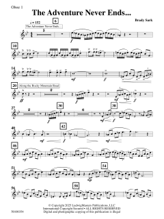 The Adventure Never Ends von Brady Sark (Download) 