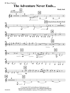 The Adventure Never Ends von Brady Sark (Download) 