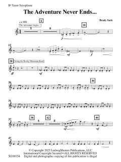 The Adventure Never Ends von Brady Sark (Download) 