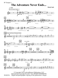 The Adventure Never Ends von Brady Sark (Download) 