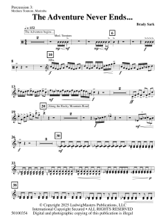 The Adventure Never Ends von Brady Sark (Download) 