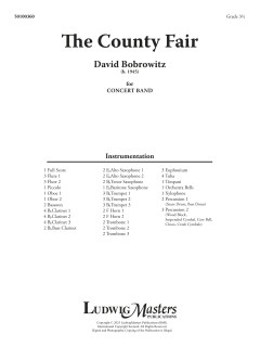 The County Fair von David Bobrowitz (Download) 