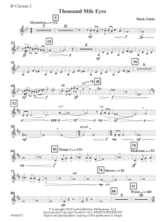 Thousand Mile Eyes von Mark Fabio (Download) 